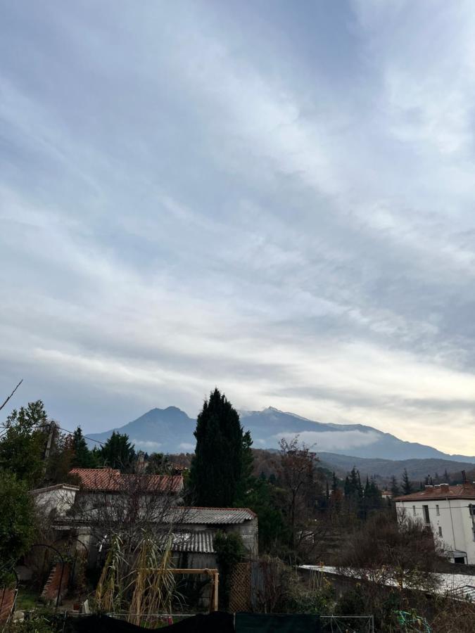 Le Cosy En Coeur De Ville Prades  Buitenkant foto